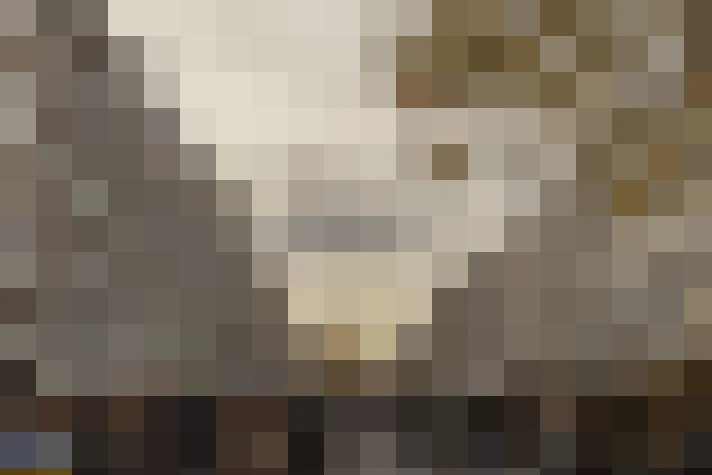  / #26