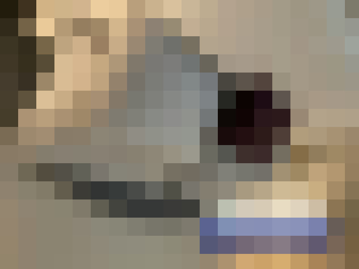  / #11