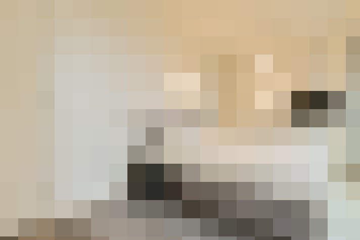  / #20