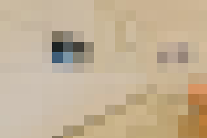  / #6