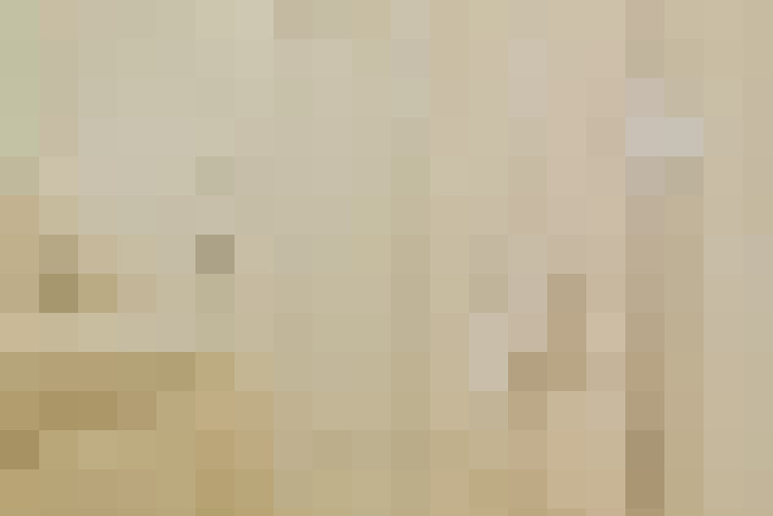  / #17
