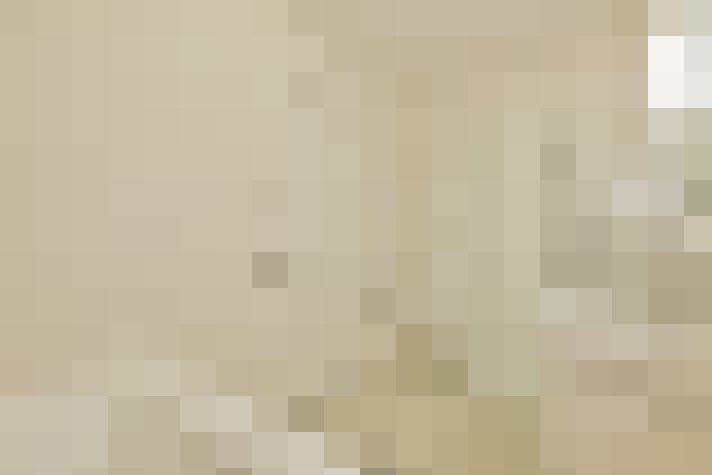  / #23