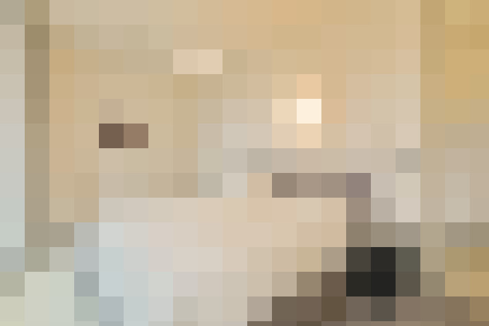  / #19