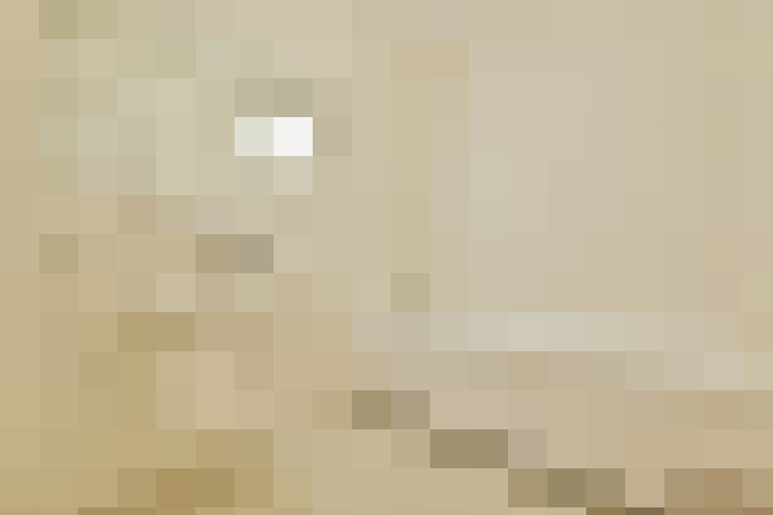  / #21