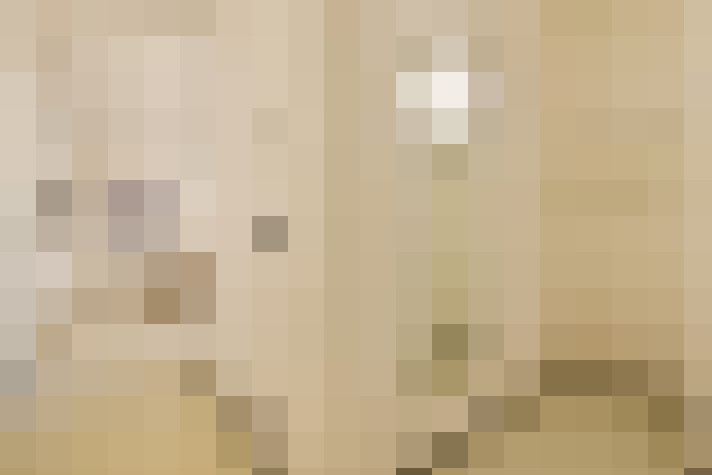  / #24