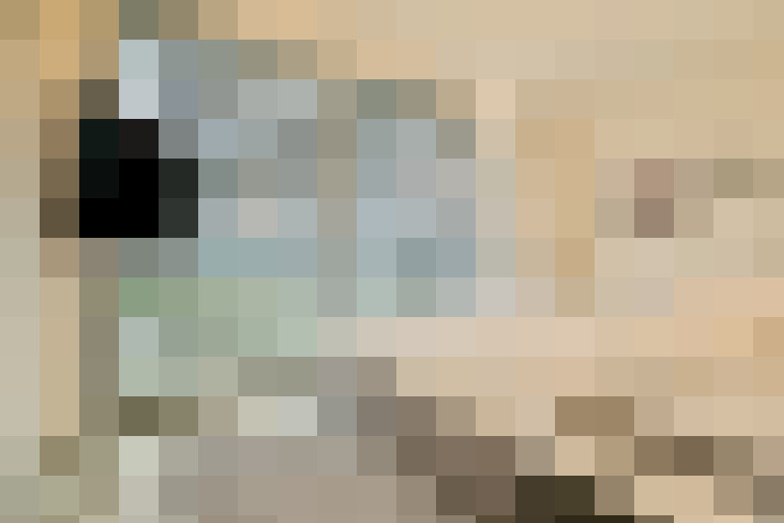  / #18