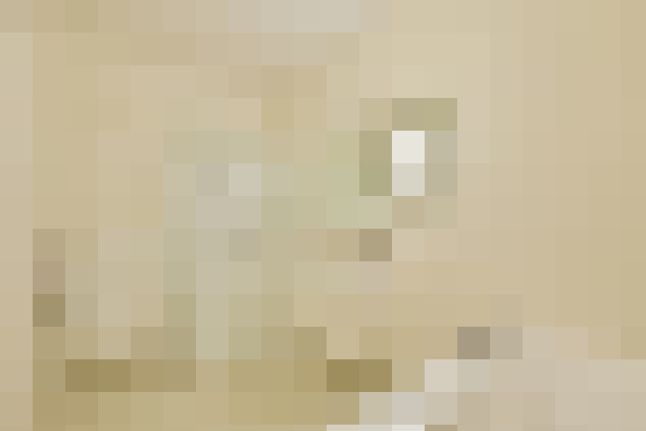  / #22