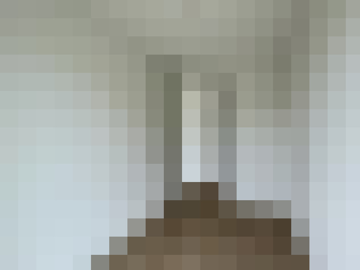  / #15