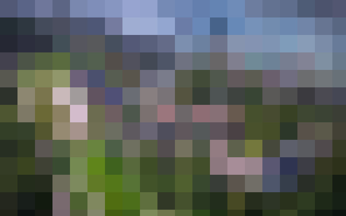  / #75