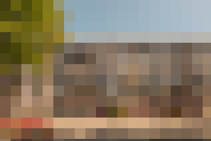  / #19