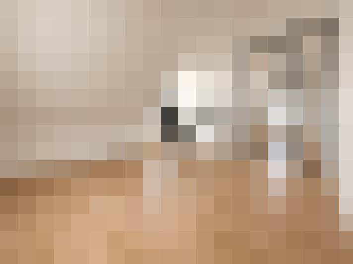  / #14