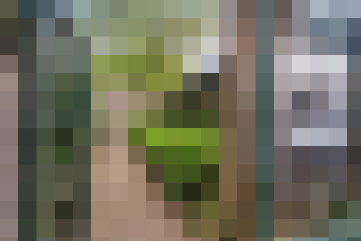  / #54