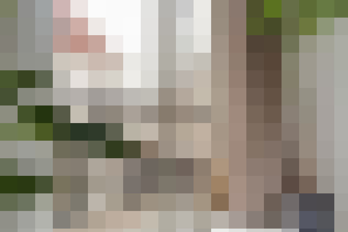  / #20