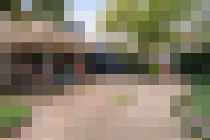  / #53