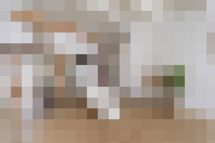  / #22