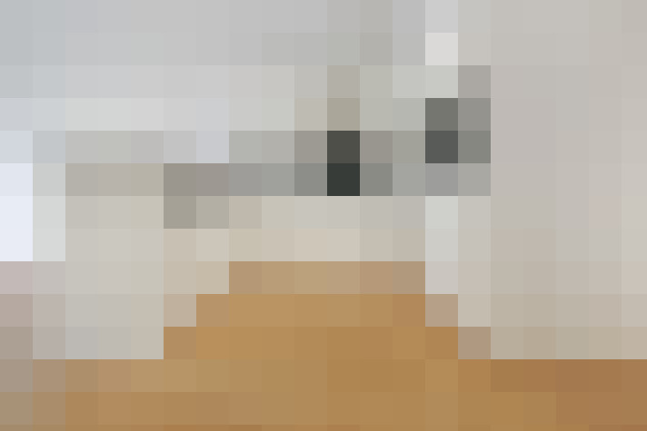  / #12