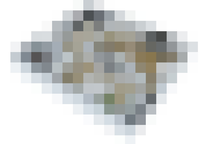  / #13