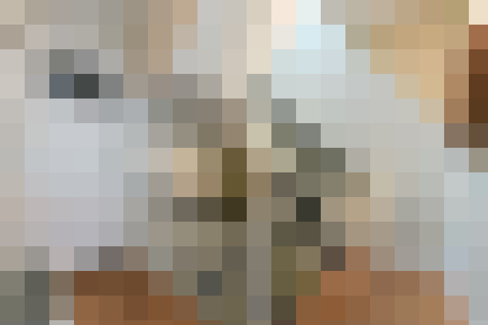  / #13