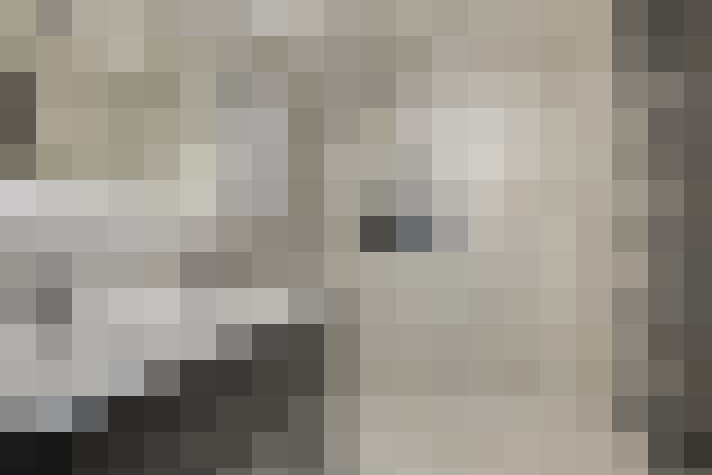  / #24
