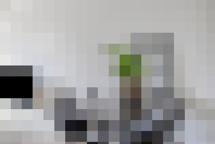  / #11
