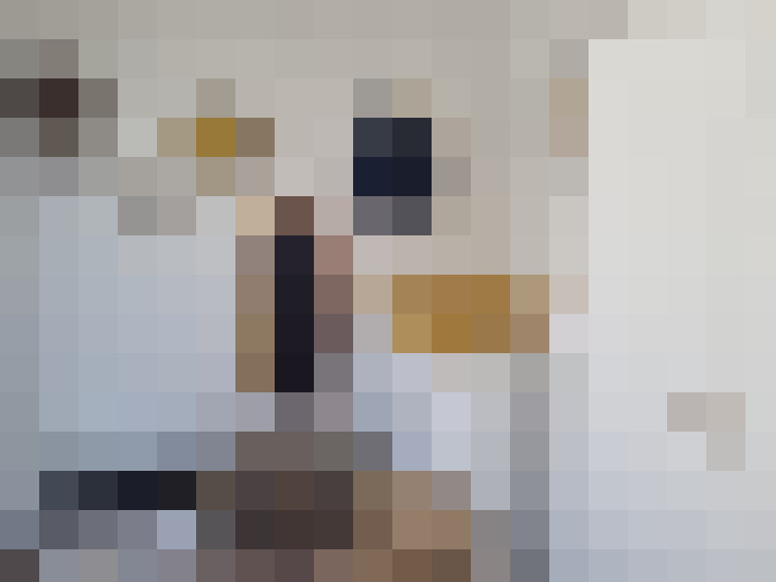  / #15