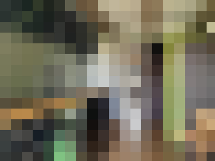  / #16