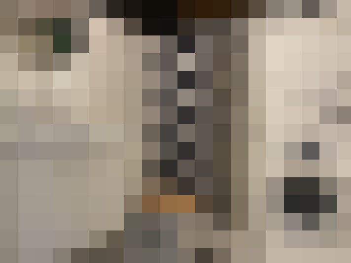  / #13