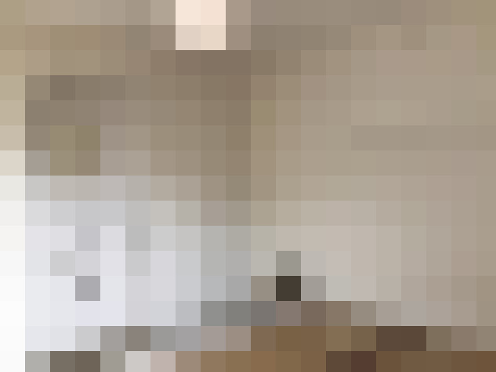  / #17