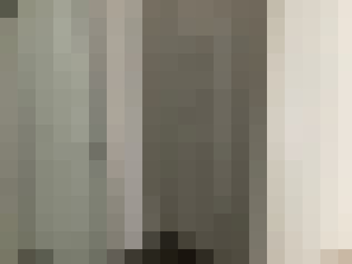  / #11