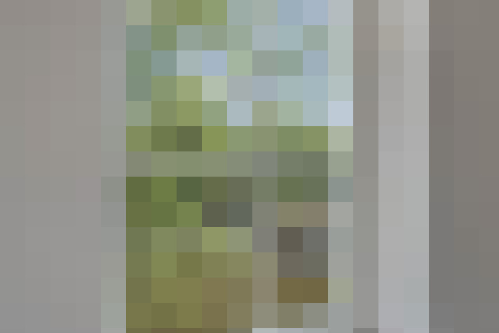  / #83