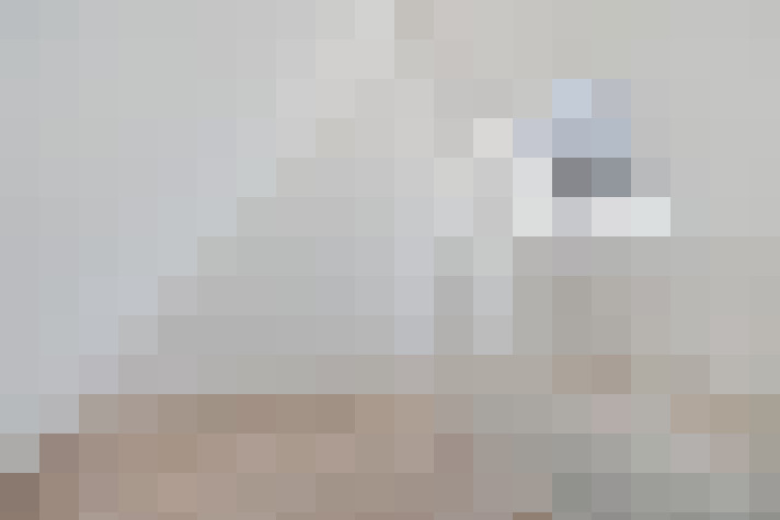 / #73
