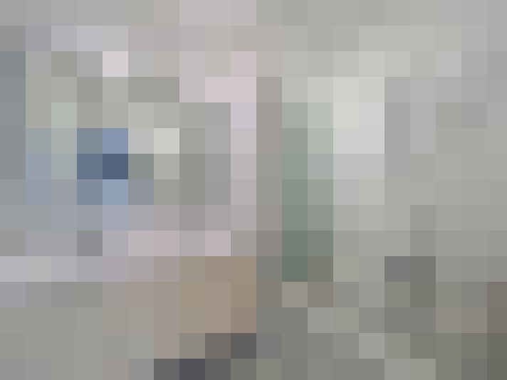  / #15