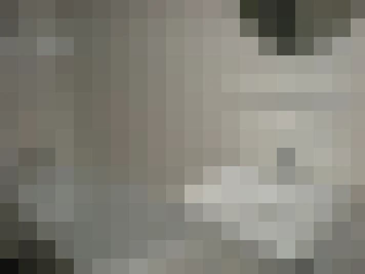  / #18