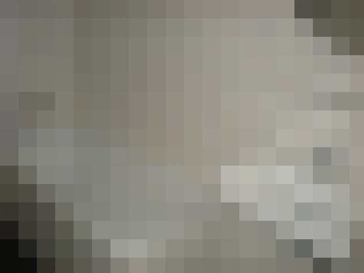  / #19