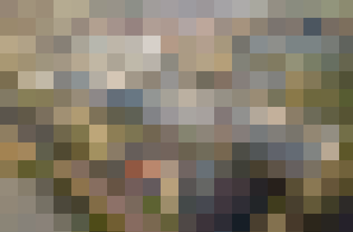 / #14