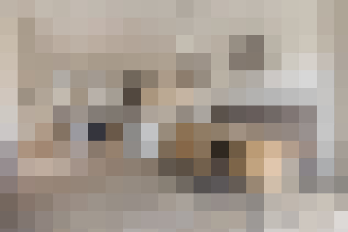  / #14