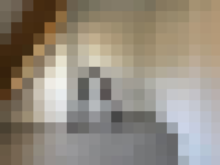 / #15