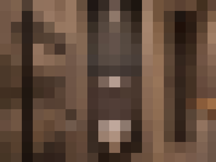  / #23