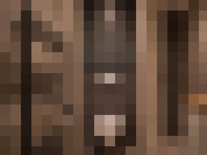  / #24