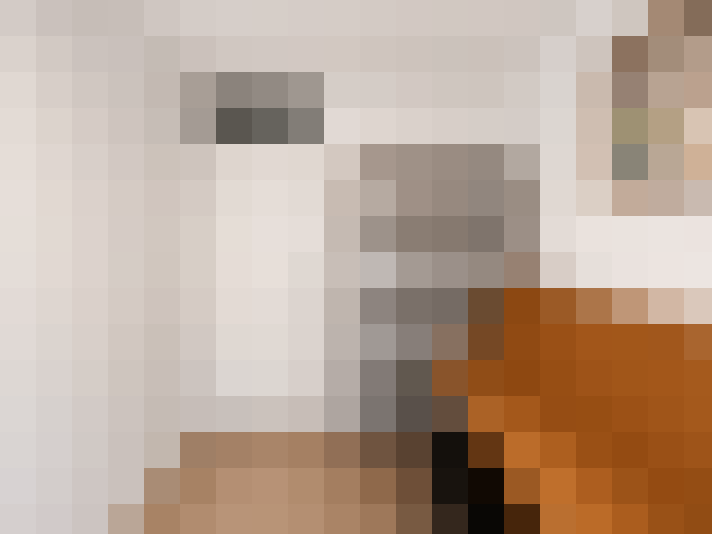  / #24