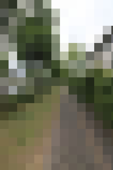  / #64