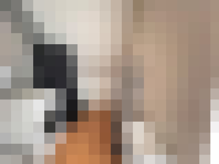  / #16