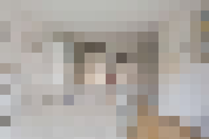  / #20