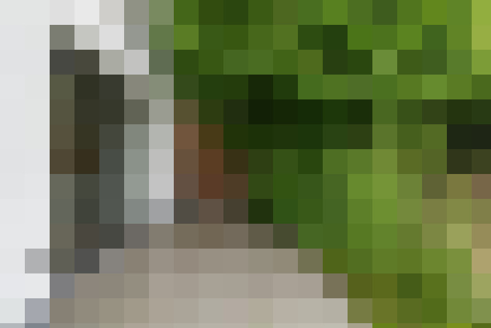  / #12