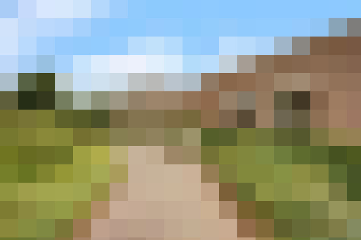  / #15