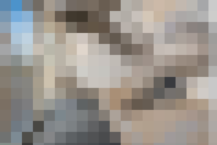  / #27