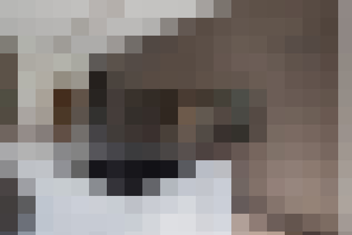  / #15