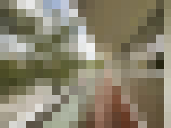  / #23