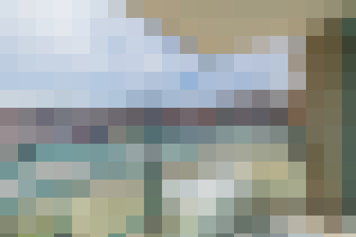  / #19