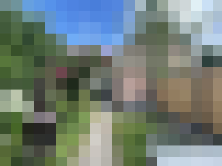  / #16